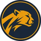 Thuê Cheetah Tool unlock điện thoại